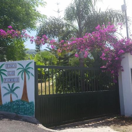 Finca Las Palmeras Icod De Los Vinos Eksteriør billede