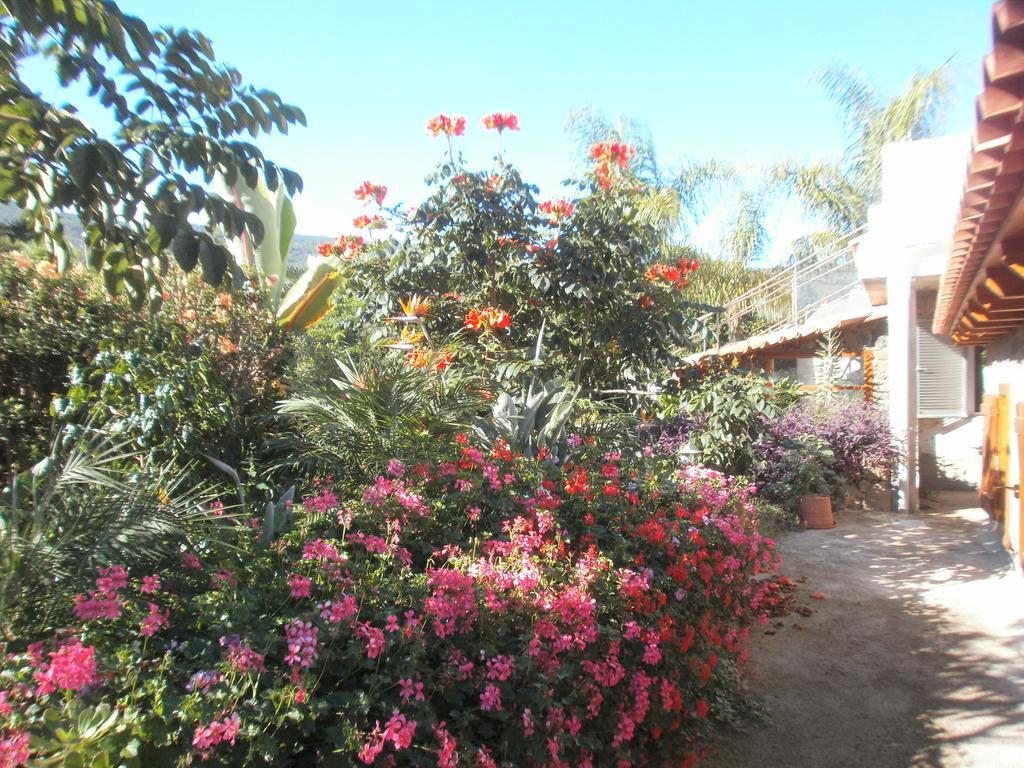 Finca Las Palmeras Icod De Los Vinos Værelse billede
