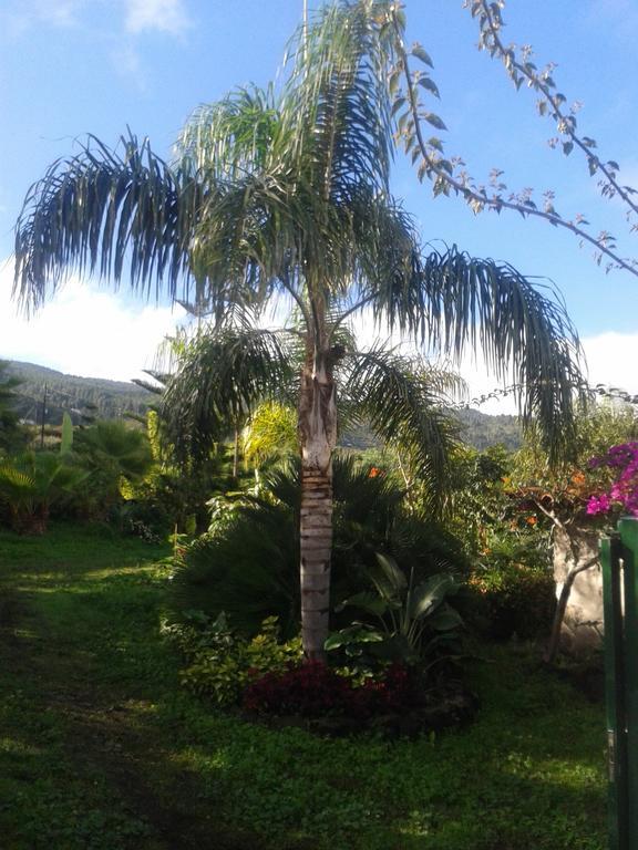 Finca Las Palmeras Icod De Los Vinos Værelse billede